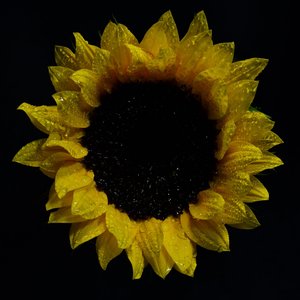 Image for 'Sol Distorsion'