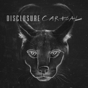 Изображение для 'Caracal (Limited Deluxe Edition)'