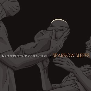 Bild för 'In Keeping Secrets of Silent Birth 3: Lullaby renditions of Coheed and Cambria songs'