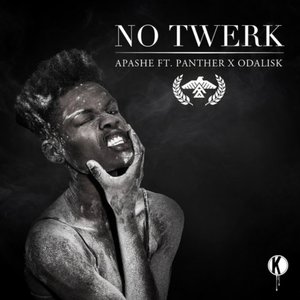 Image for 'No Twerk'