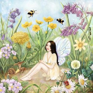 “Meadow”的封面