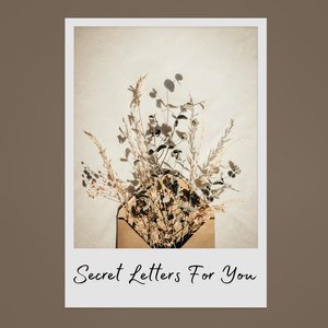 Image for 'Secret Letters For You'