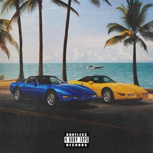Image for 'Roofless Records For Drop Tops: Disc 2'