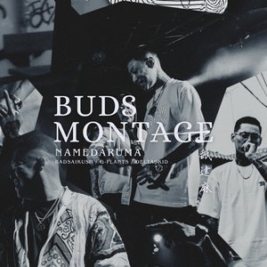 Image for 'BUDS MONTAGE'