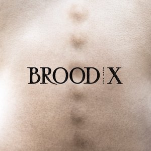 Image for 'Brood X'