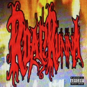 “ROADRUNNA”的封面