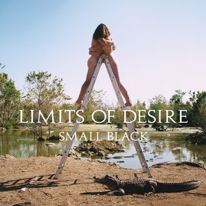 “Limits Of Desire”的封面