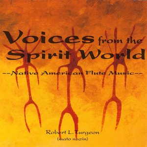 Image for 'Voices From The Spirit World'