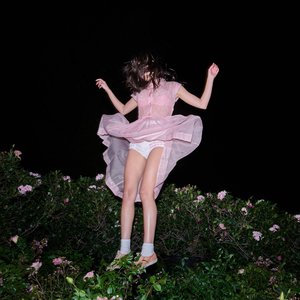Image for 'stupid song'
