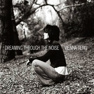 “Dreaming Through The Noise”的封面