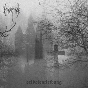 Image for 'selbstentleibung'