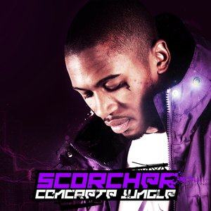 “Concrete Jungle”的封面