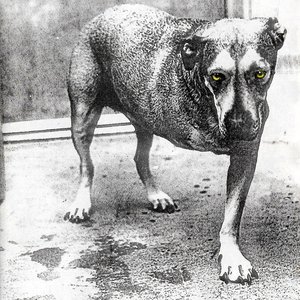 “Alice in Chains”的封面