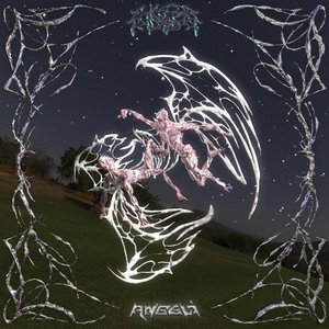 Image for 'Angeli'