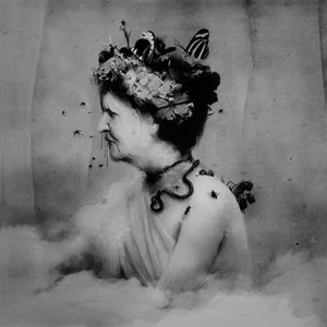 Image for 'Empress Rising (Instrumental)'