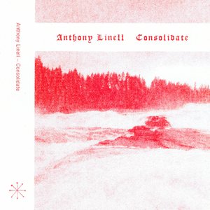 Изображение для 'Consolidate'