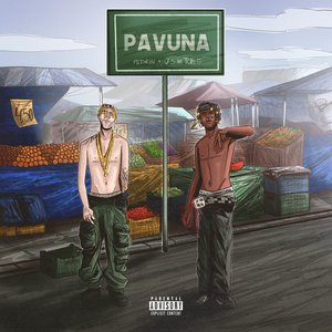 Image for 'Pavuna'