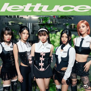 'Lettuce • レタス'の画像