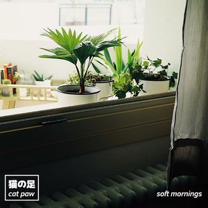 Image for 'Soft Mornings'