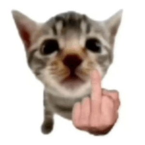 the_cat69