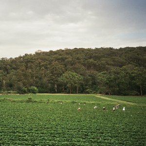 Bild für 'Healesville'