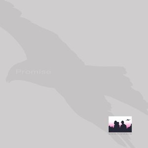 Imagen de 'Promise'