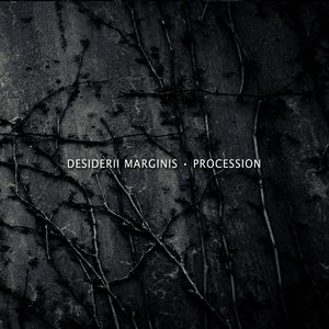 Image pour 'Procession'