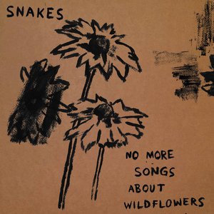Image for 'No More Songs About Wildflowers'