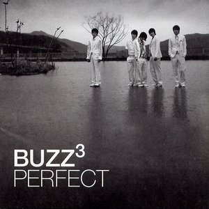 Image for 'Perfect'