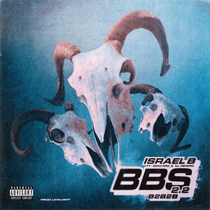 Image for 'BBS 2.2 (B2B2B)'