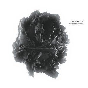 Image for 'Polarity (DJ Mix)'