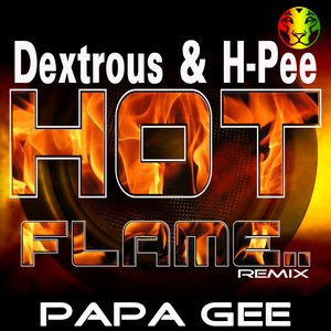 “Hot Flame Remix”的封面