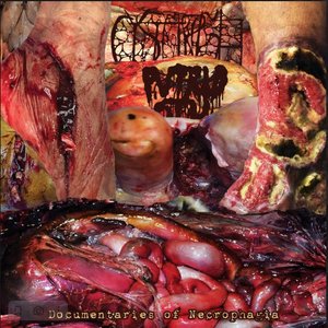Image for 'Documentaries of Necrophagia'