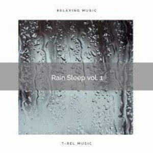 Image for 'Rain Sleep vol. 1'