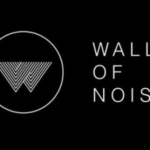 “Wall of Noise”的封面