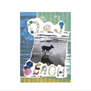 “DOG BEACH”的封面