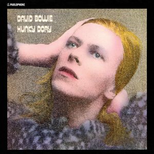 Image for 'Hunky Dory'