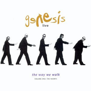 Image for 'The Way We Walk, Vol. 1: The Shorts (Live)'