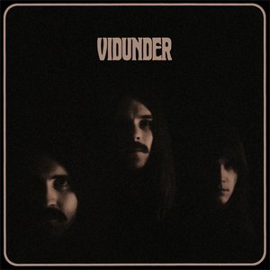 Image for 'Vidunder'