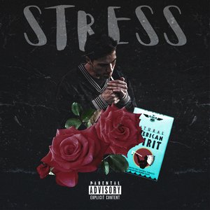 Image for 'Stress'