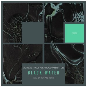 Image for 'Black Water'