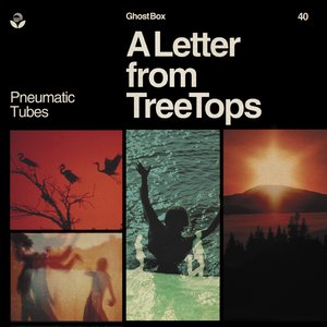 “A Letter from TreeTops”的封面