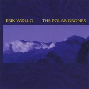 Image for 'Polar Drones'