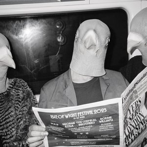 “The Pigeons”的封面