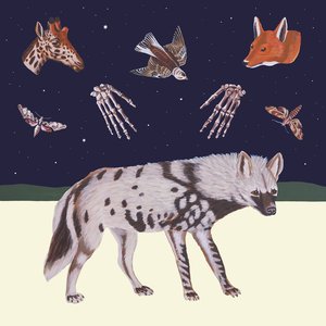 Image for 'HYENA'