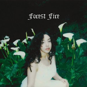 Image for 'Forest Fire'