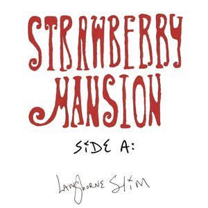 Image for 'Strawberry Mansion - Side A'