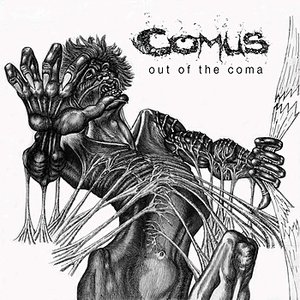 Image for 'Out Of The Coma'