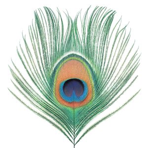 'Apple Venus Volume 1' için resim