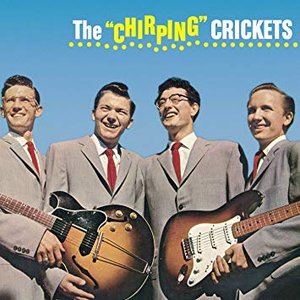 Image for 'The Chirping Crickets'